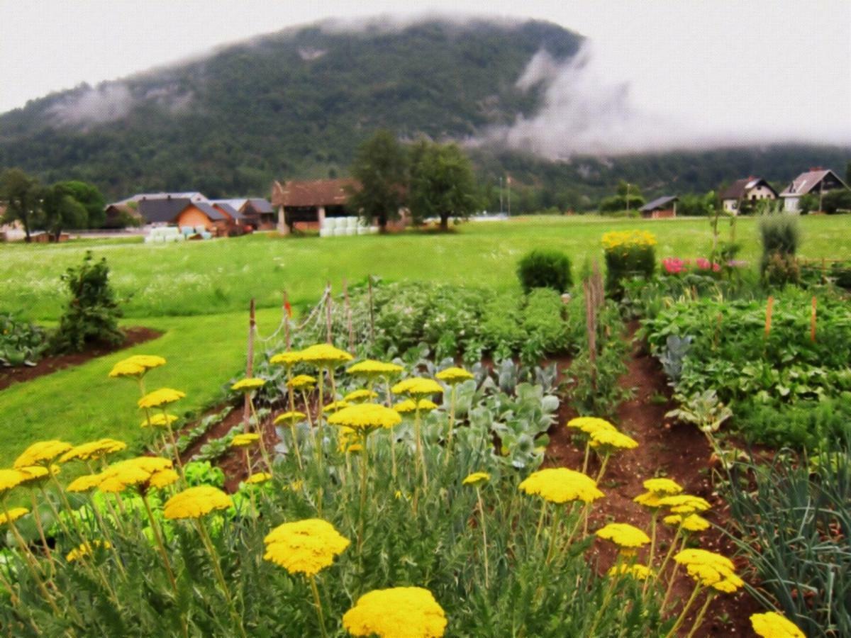 Appartamento Casa Bohinj Esterno foto